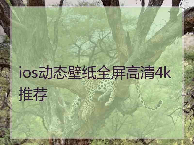 ios动态壁纸全屏高清4k推荐