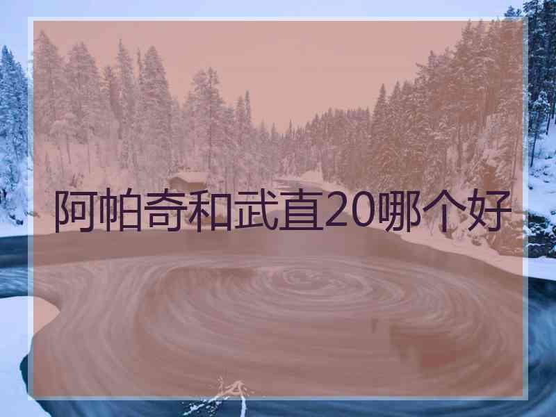 阿帕奇和武直20哪个好