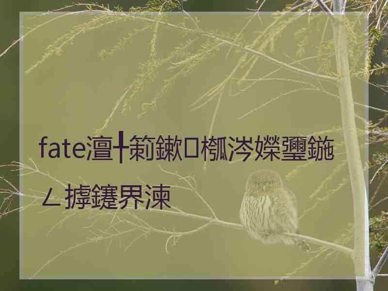 fate澶╀箣鏉槬涔嬫瓕鍦ㄥ摢鑳界湅