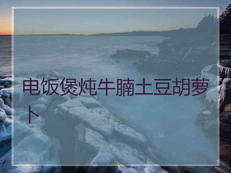 电饭煲炖牛腩土豆胡萝卜