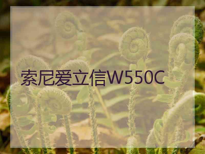 索尼爱立信W550C