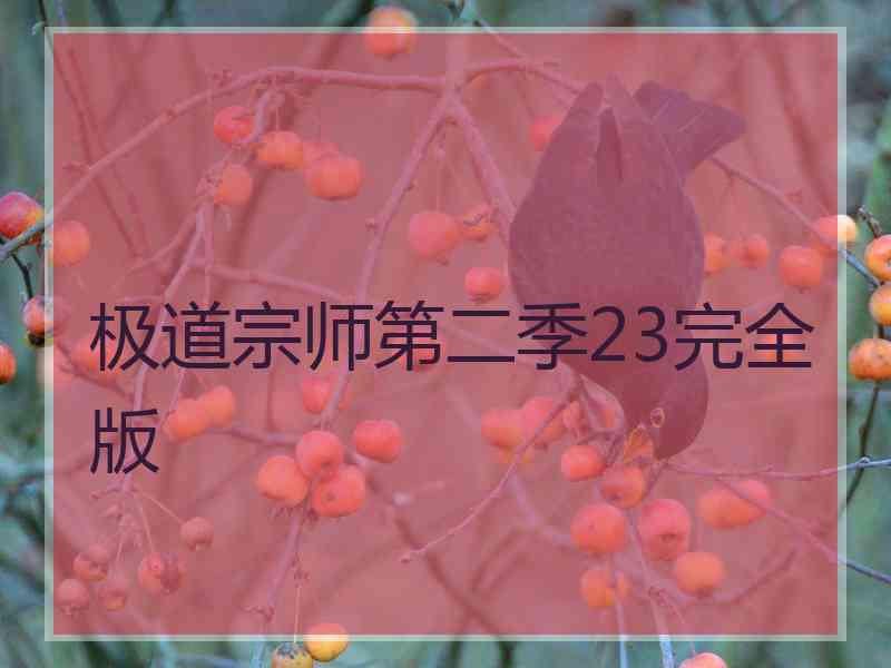 极道宗师第二季23完全版