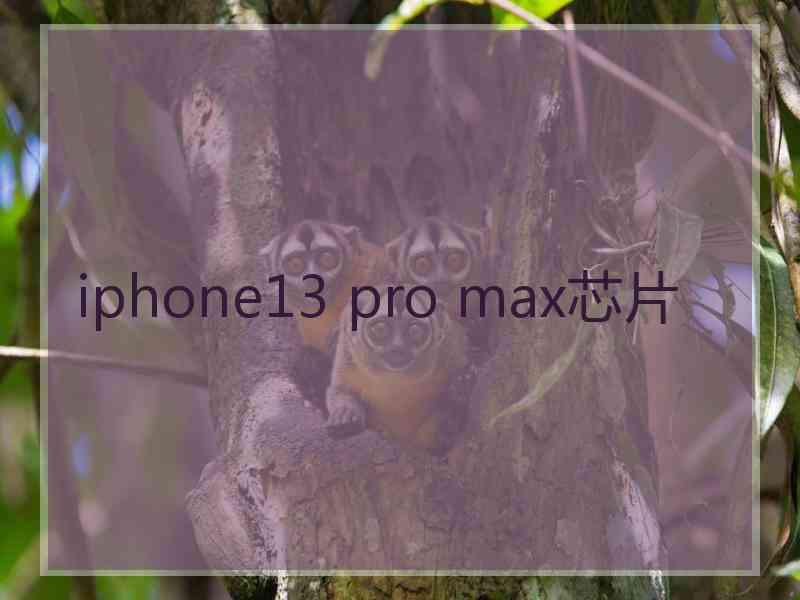 iphone13 pro max芯片