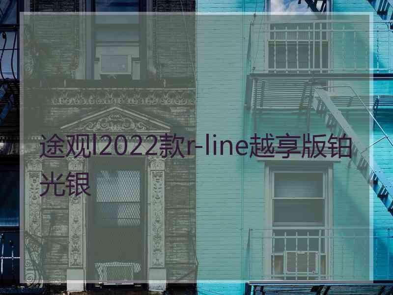 途观l2022款r-line越享版铂光银