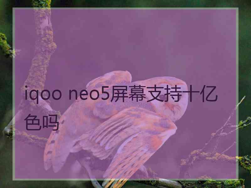 iqoo neo5屏幕支持十亿色吗