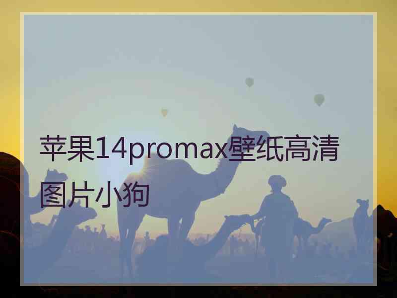 苹果14promax壁纸高清图片小狗