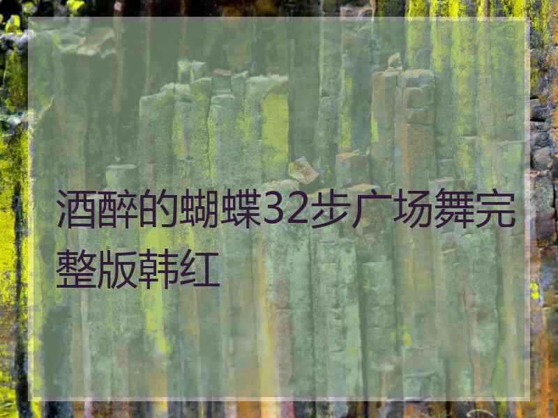 酒醉的蝴蝶32步广场舞完整版韩红