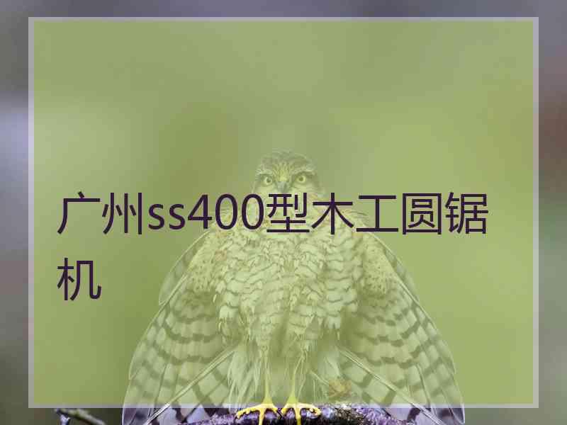 广州ss400型木工圆锯机