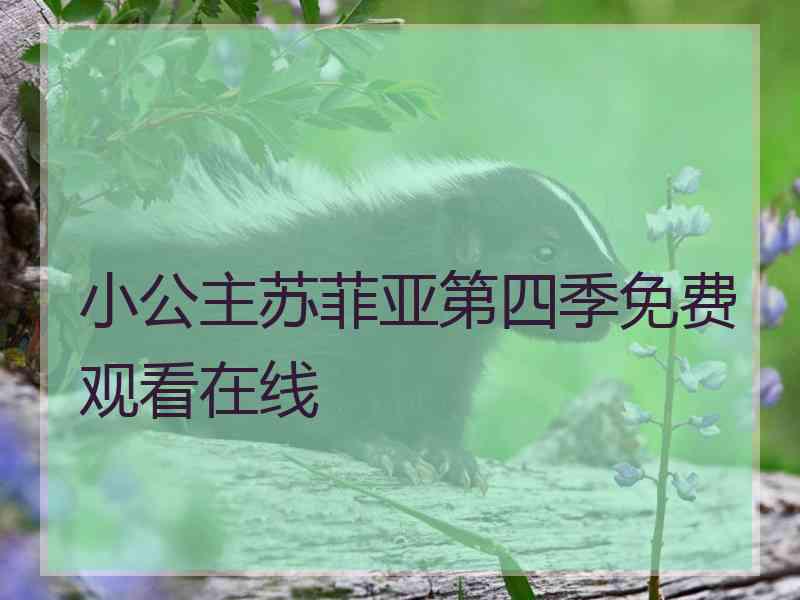 小公主苏菲亚第四季免费观看在线