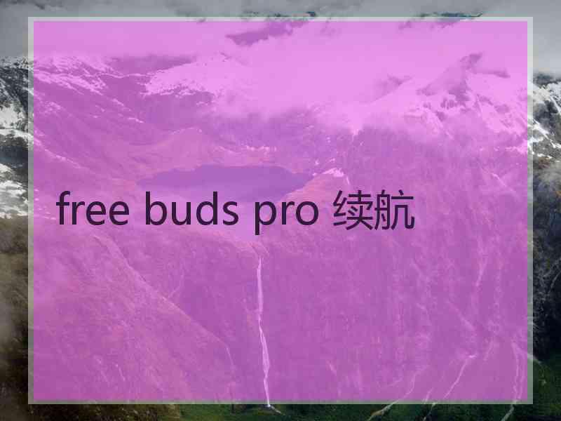 free buds pro 续航