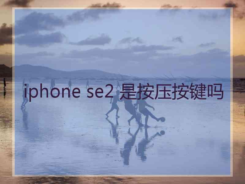 iphone se2 是按压按键吗