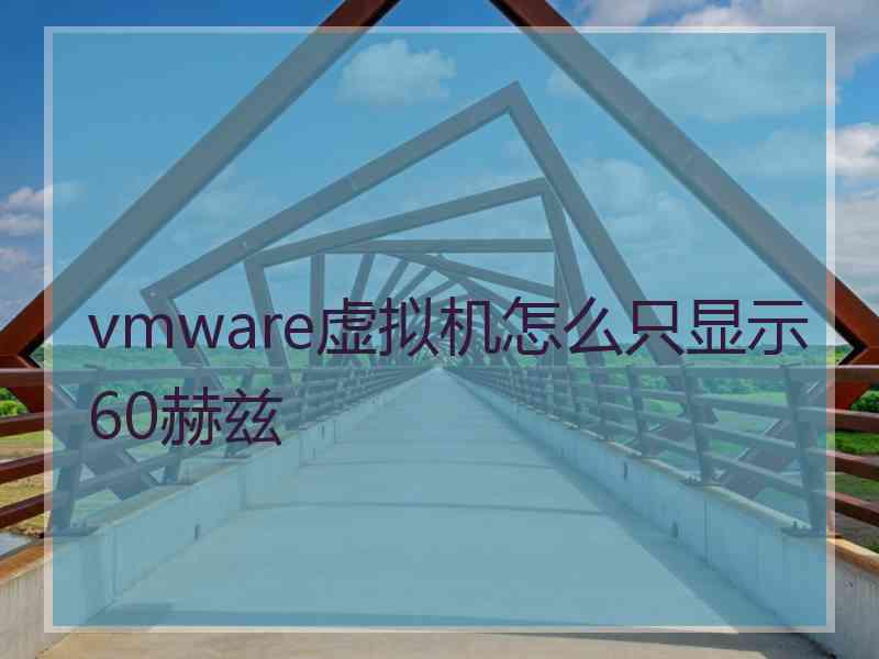 vmware虚拟机怎么只显示60赫兹