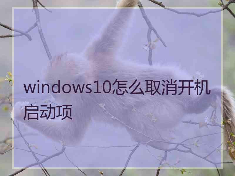 windows10怎么取消开机启动项