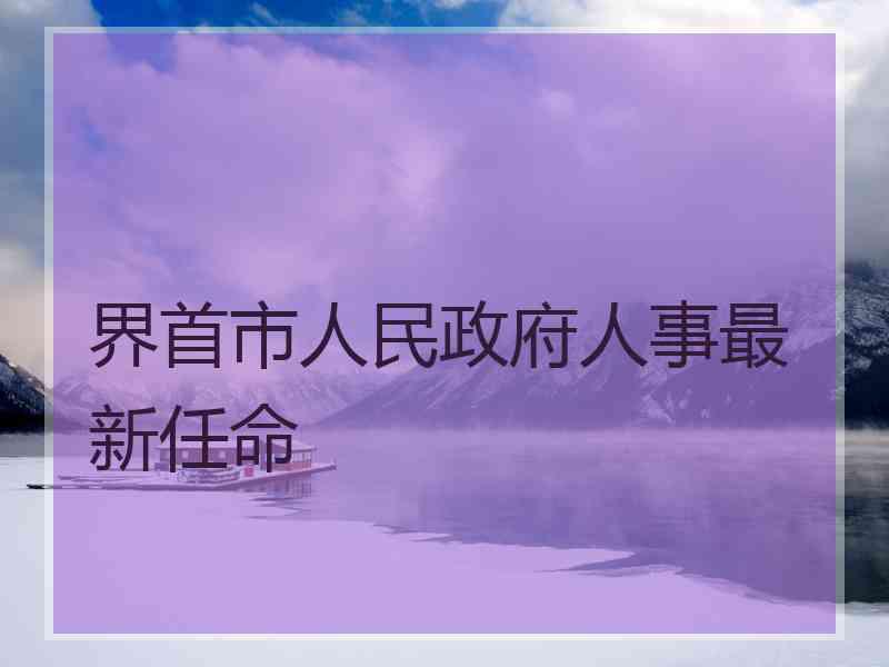 界首市人民政府人事最新任命