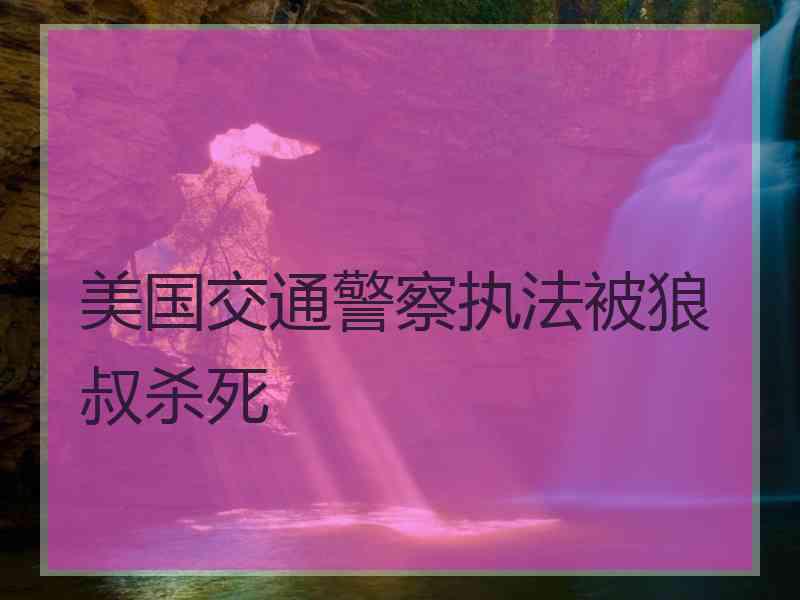 美国交通警察执法被狼叔杀死