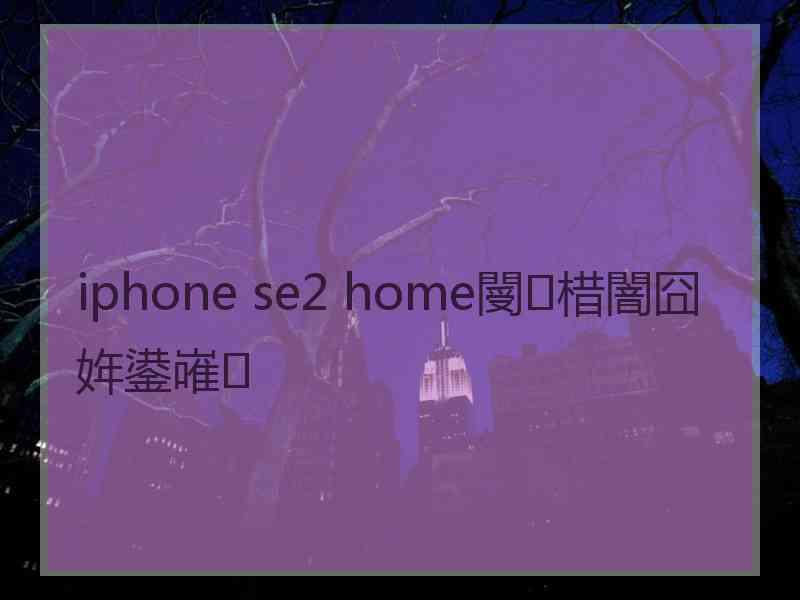 iphone se2 home閿棤闇囧姩鍙嶉