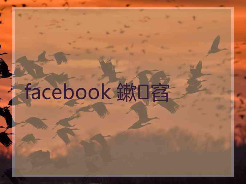 facebook 鏉窞