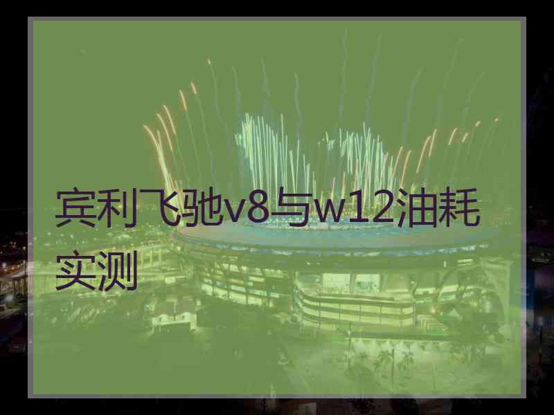 宾利飞驰v8与w12油耗实测