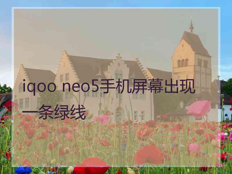 iqoo neo5手机屏幕出现一条绿线