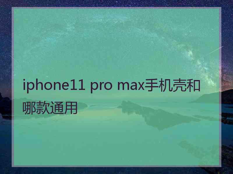 iphone11 pro max手机壳和哪款通用