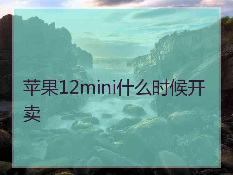 苹果12mini什么时候开卖