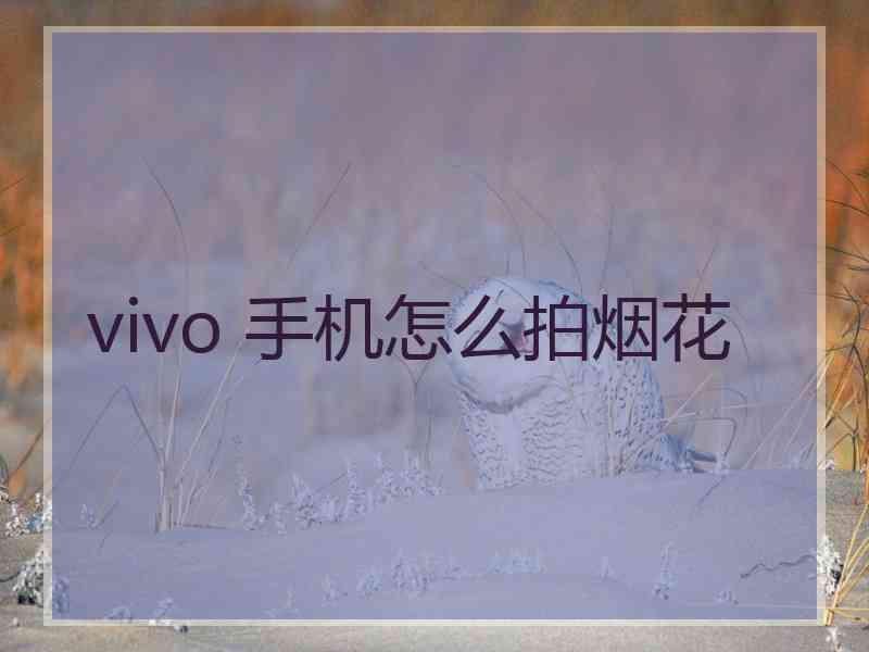 vivo 手机怎么拍烟花