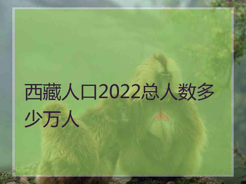 西藏人口2022总人数多少万人