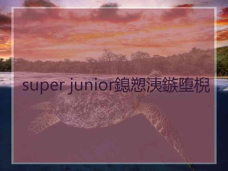 super junior鎴愬洟鏃堕棿