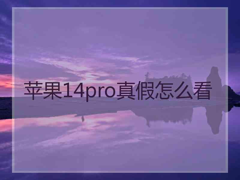 苹果14pro真假怎么看