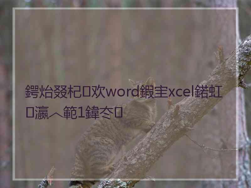 鍔炲叕杞欢word鍜宔xcel鍩虹瀛︿範1鍏冭