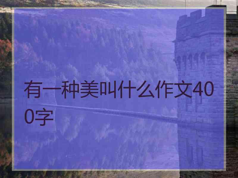 有一种美叫什么作文400字