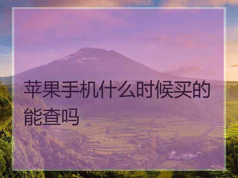 苹果手机什么时候买的能查吗