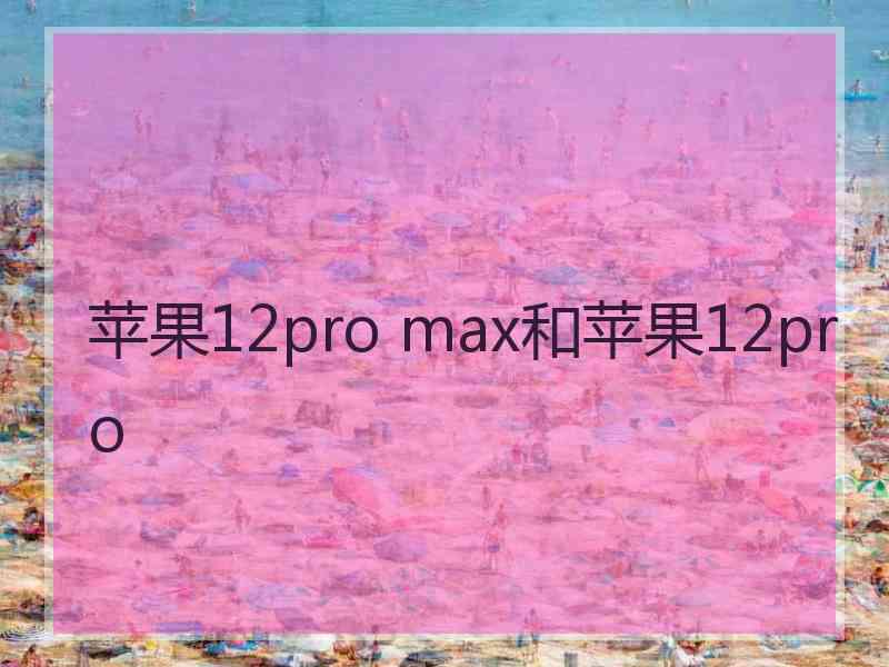 苹果12pro max和苹果12pro