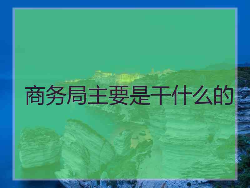 商务局主要是干什么的