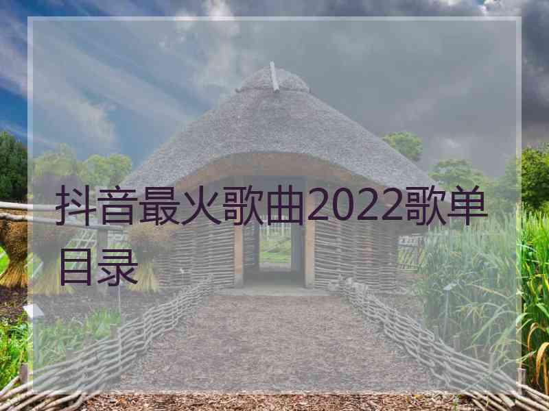 抖音最火歌曲2022歌单目录