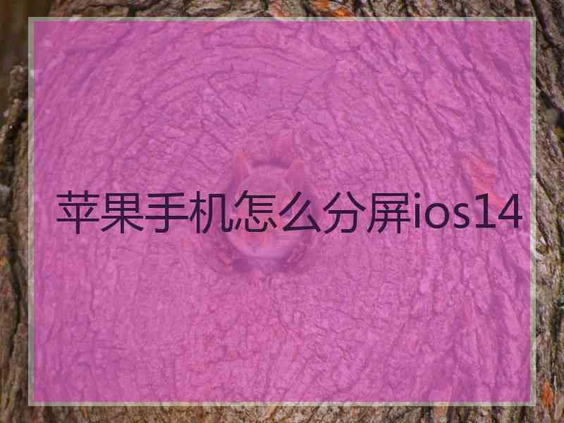 苹果手机怎么分屏ios14