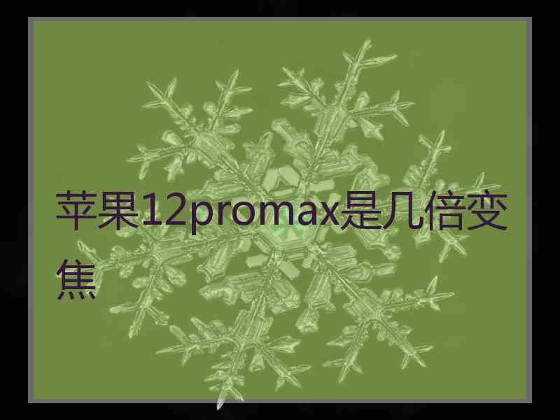 苹果12promax是几倍变焦