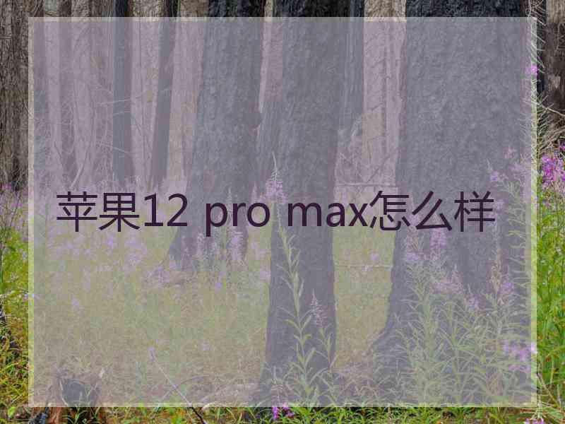 苹果12 pro max怎么样