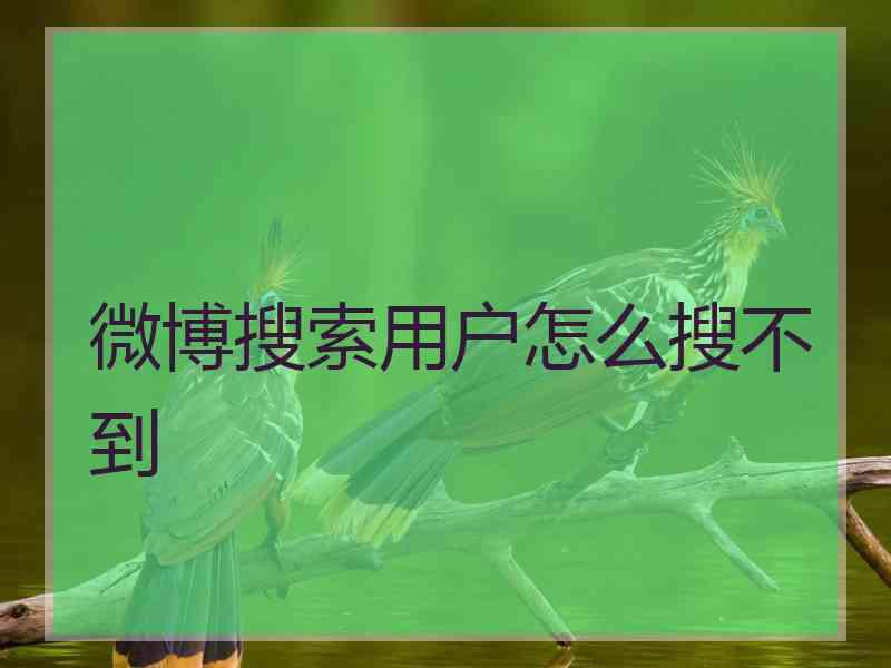 微博搜索用户怎么搜不到