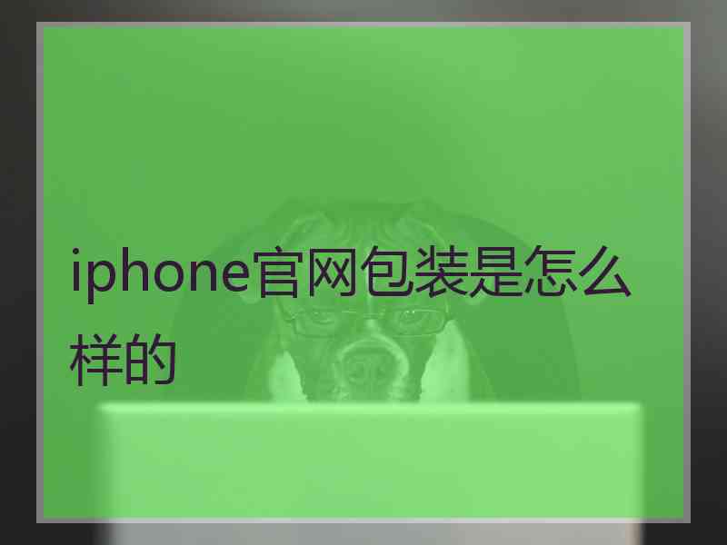 iphone官网包装是怎么样的