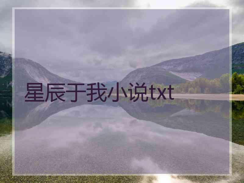 星辰于我小说txt