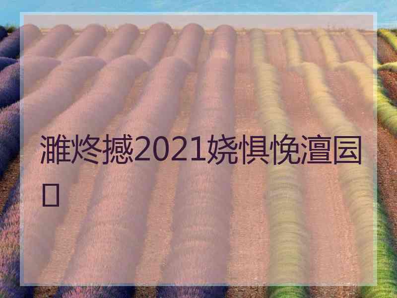 濉炵撼2021娆惧悗澶囩