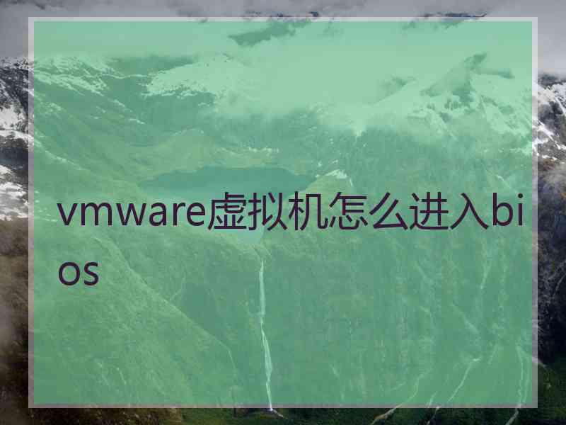 vmware虚拟机怎么进入bios