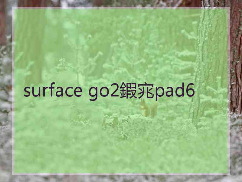 surface go2鍜宨pad6