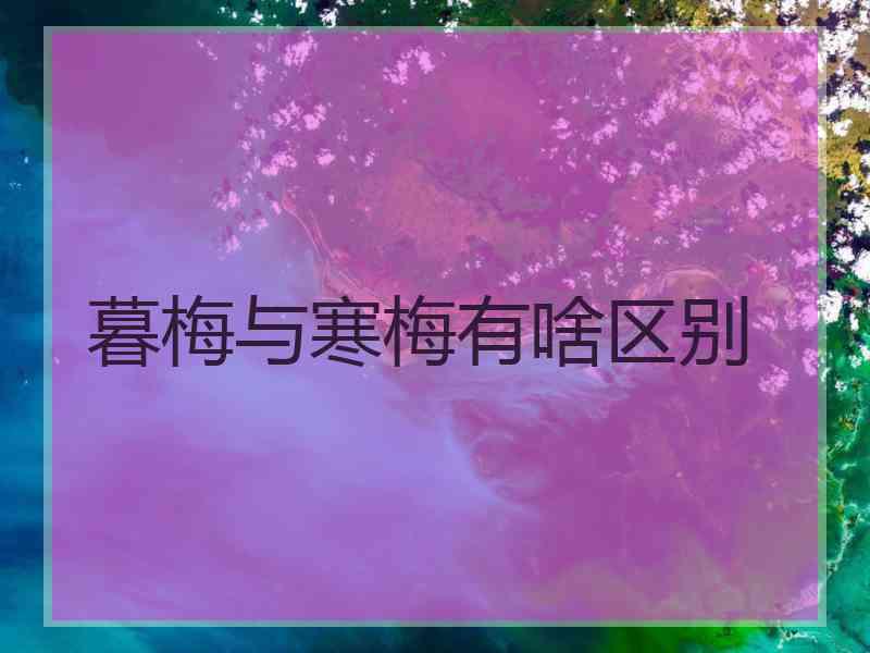 暮梅与寒梅有啥区别