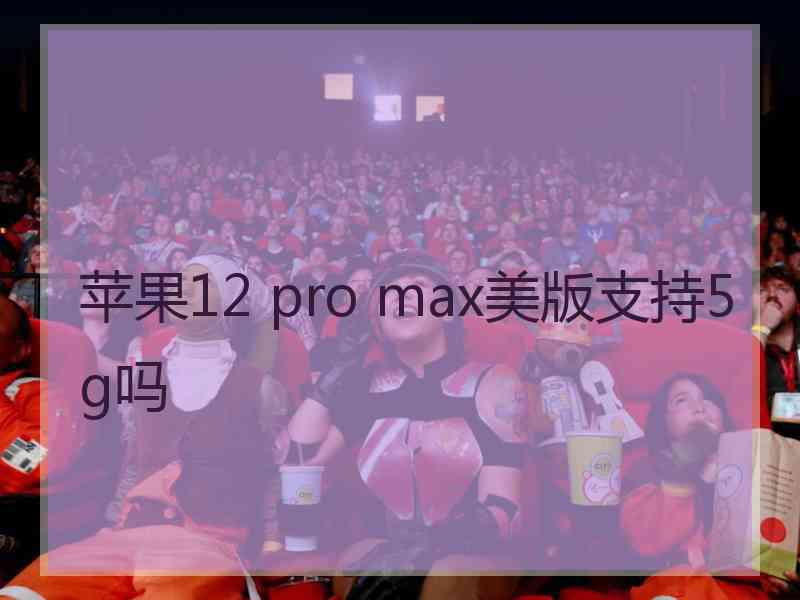 苹果12 pro max美版支持5g吗