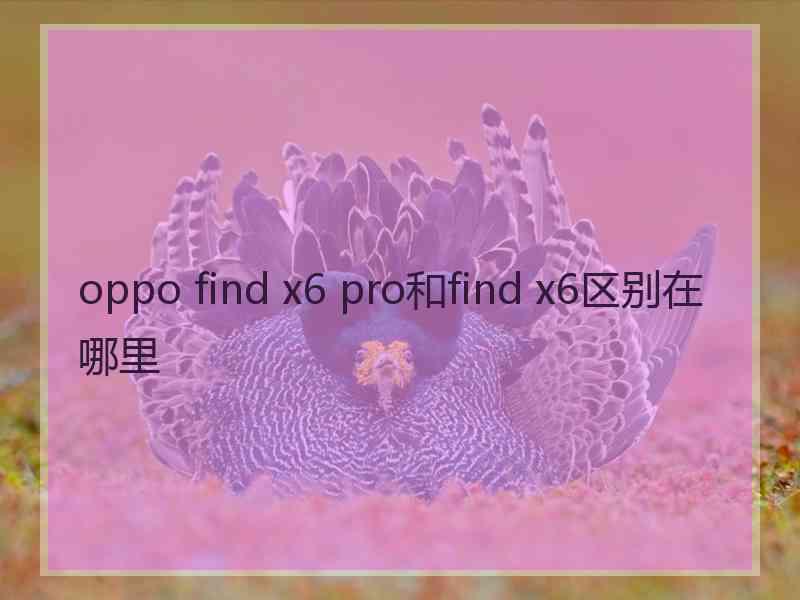 oppo find x6 pro和find x6区别在哪里