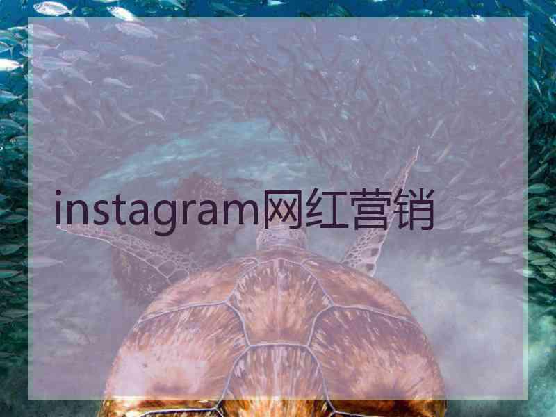 instagram网红营销