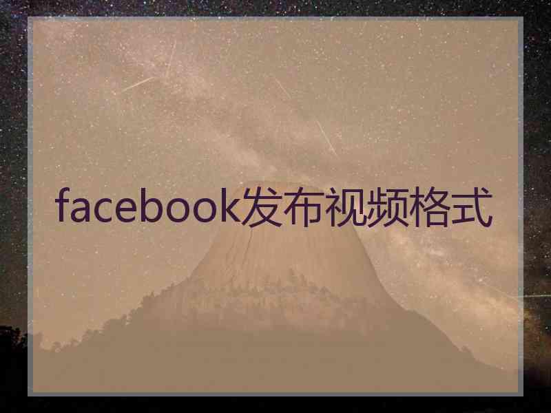 facebook发布视频格式