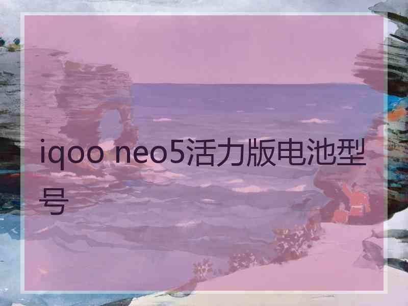 iqoo neo5活力版电池型号